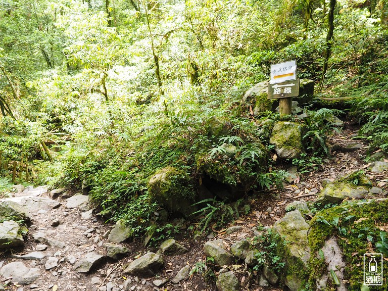 司馬庫斯神木群步道