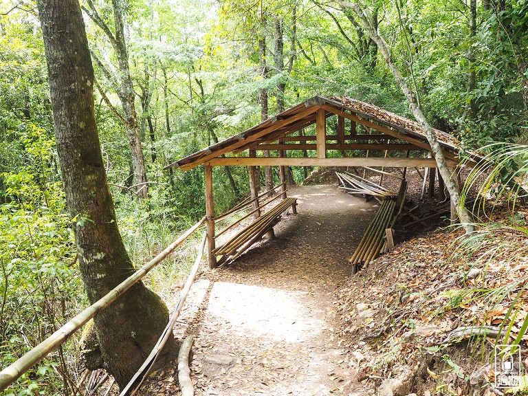 司馬庫斯神木群步道