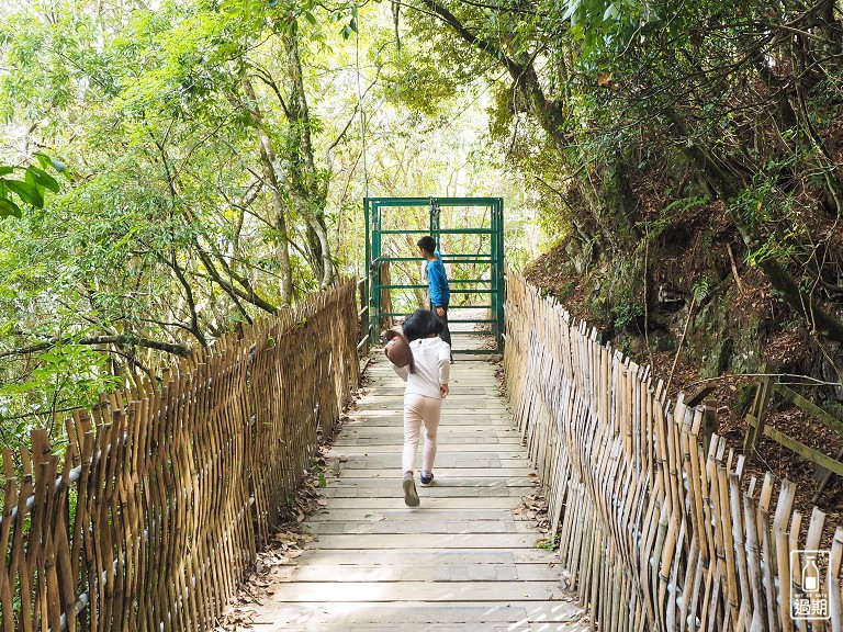 司馬庫斯神木群步道