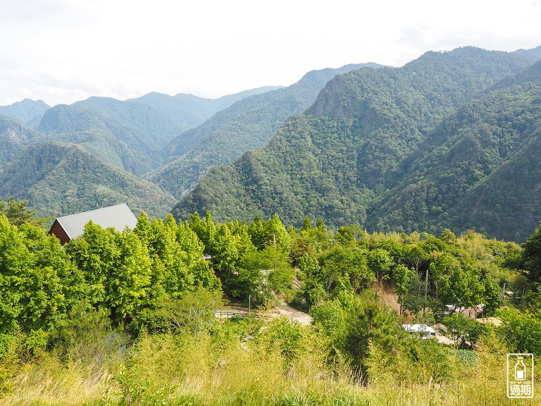 司馬庫斯神木群步道