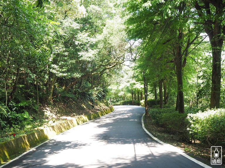 八卦景觀茶園