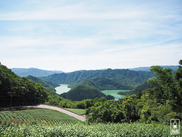 八卦景觀茶園