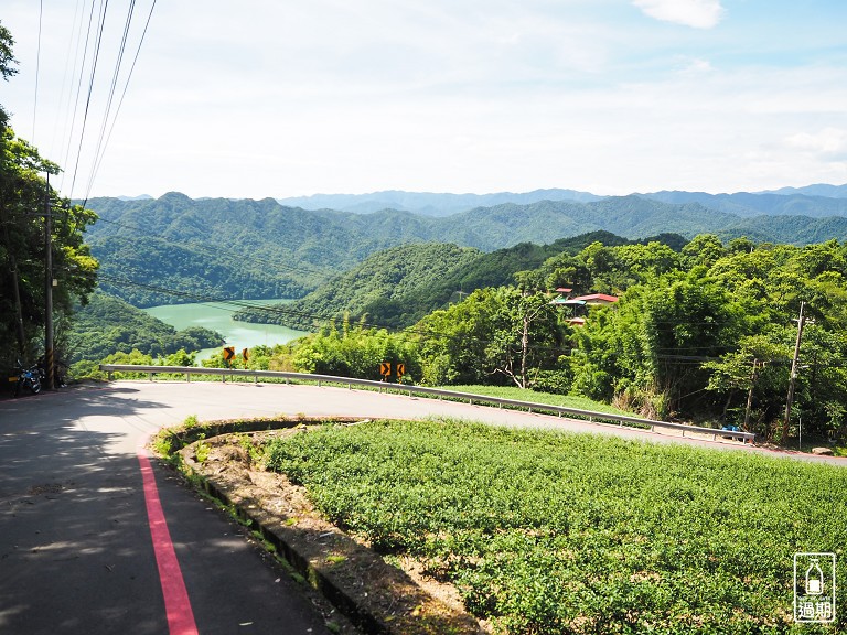 八卦景觀茶園