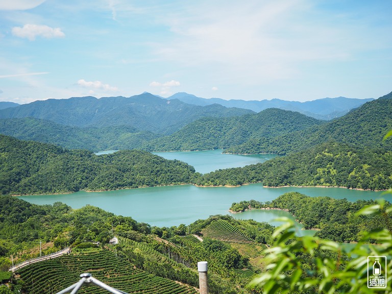 八卦景觀茶園