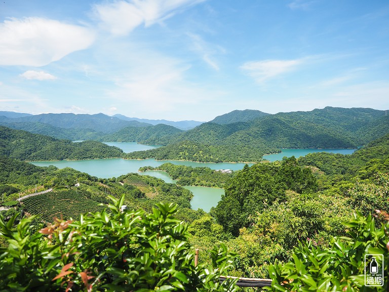 八卦景觀茶園