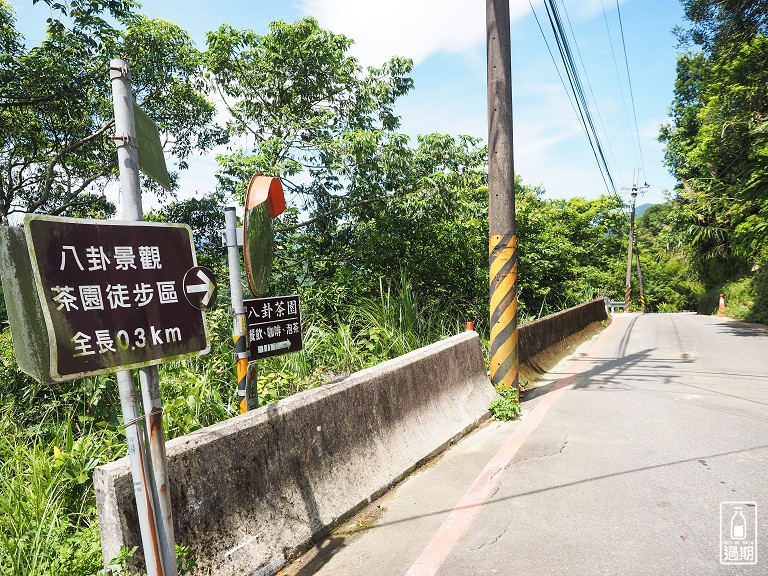 八卦景觀茶園