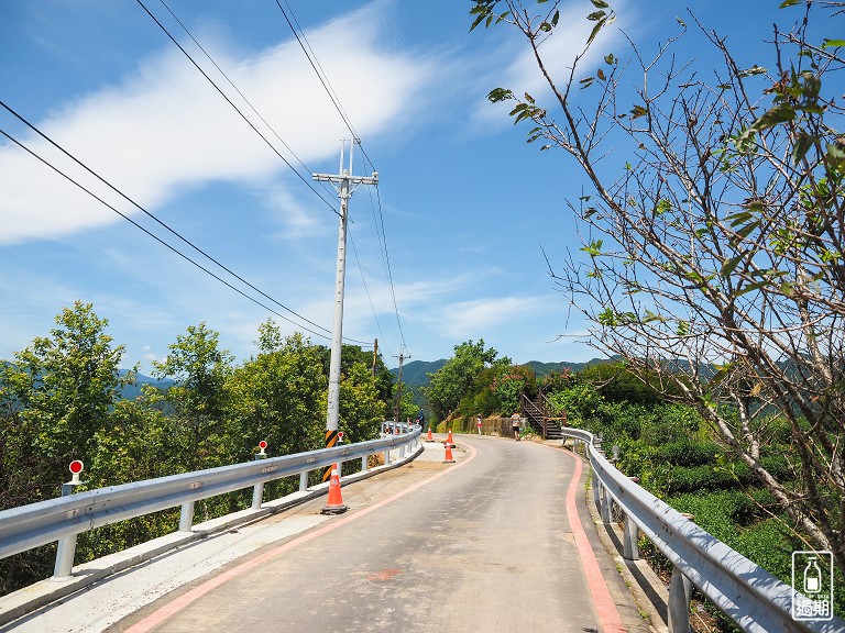 八卦景觀茶園