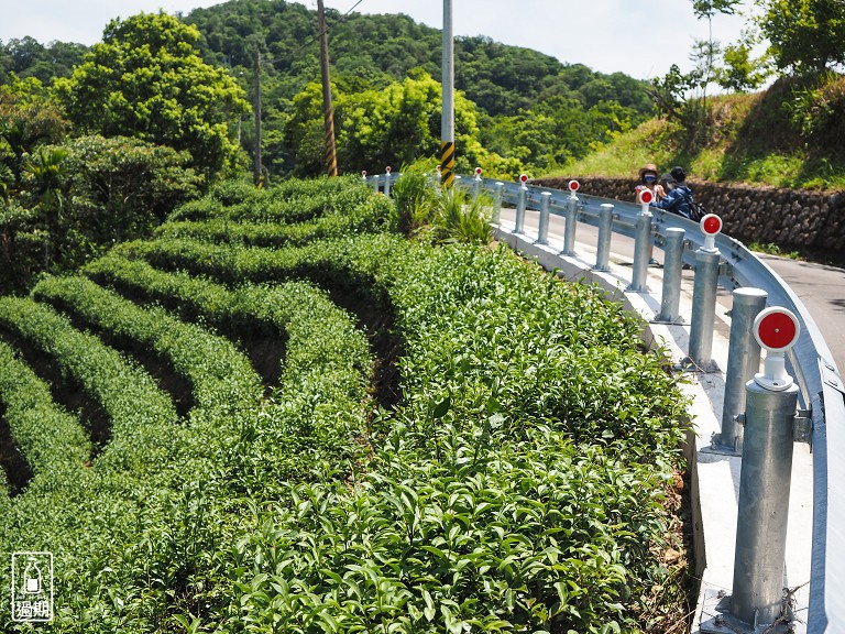 八卦景觀茶園