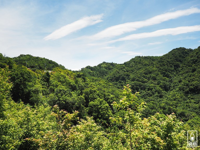 八卦景觀茶園