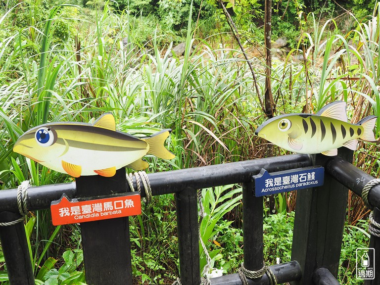 蓬萊溪護魚步道