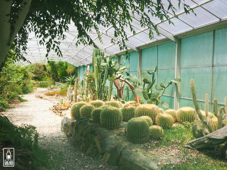 台大梅峰農場