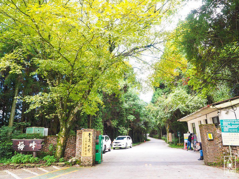 台大梅峰農場