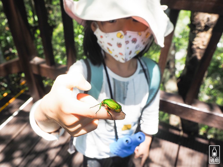 奧萬大國家森林遊樂區