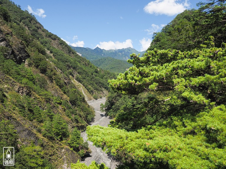 奧萬大國家森林遊樂區