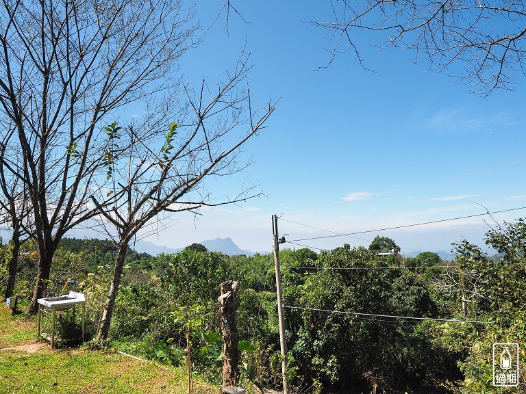 雲頂杉林