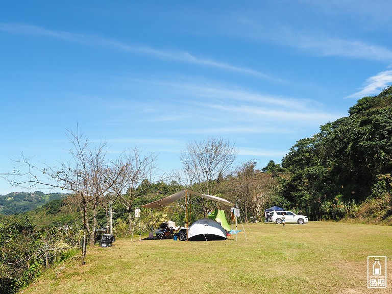 雲頂杉林