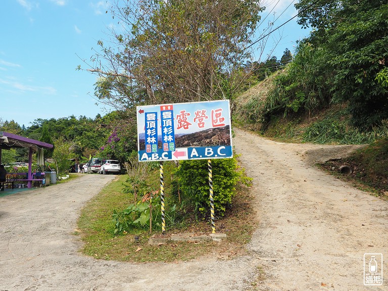 雲頂杉林