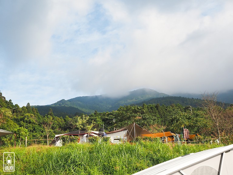 雲頂杉林