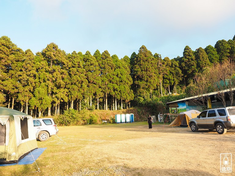 雲頂杉林