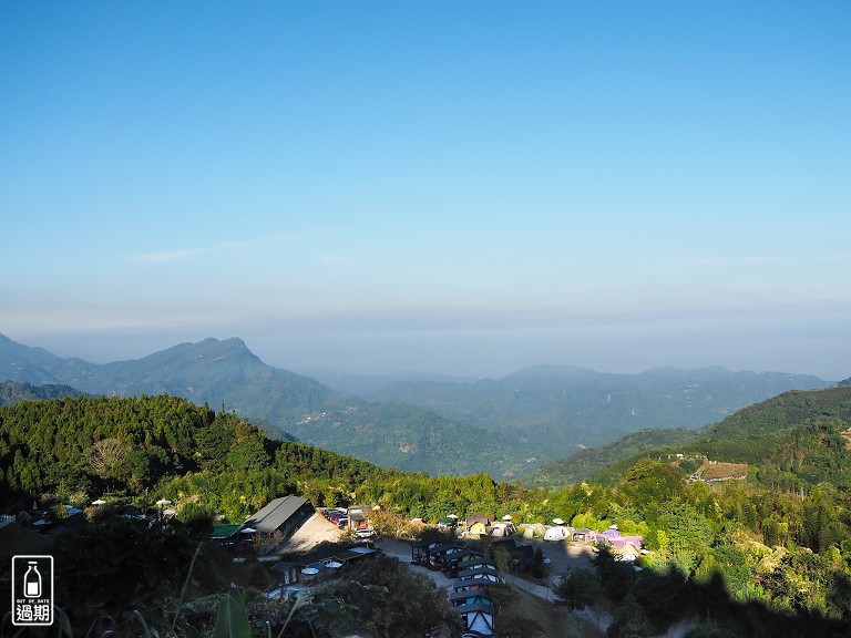 雲頂杉林