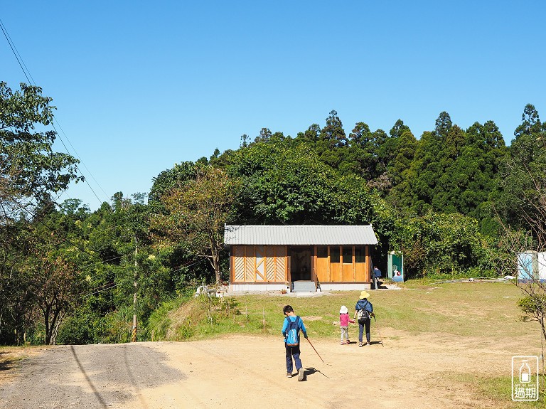 雲頂杉林