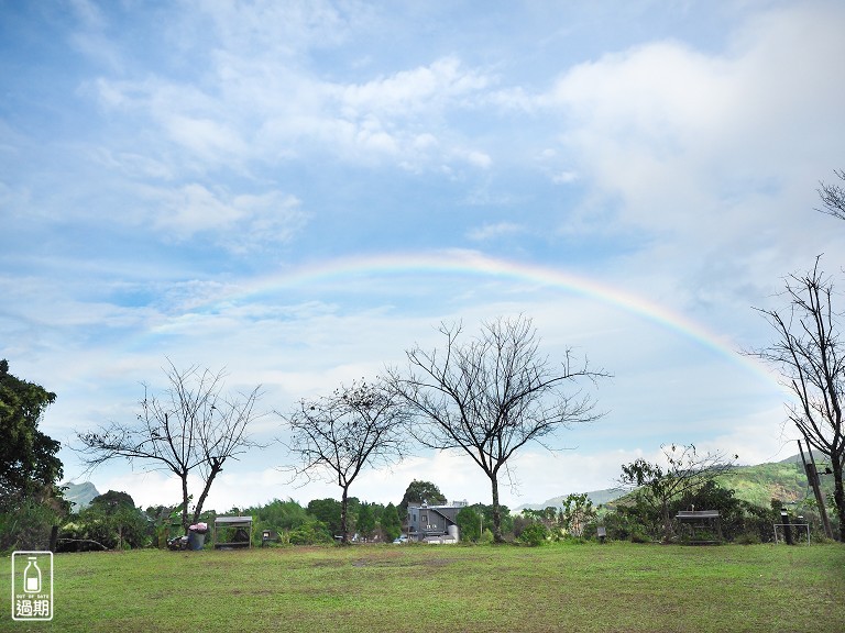 雲頂杉林