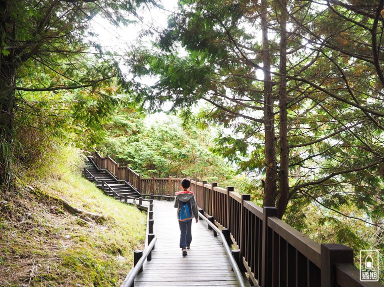 觀霧山莊露營區