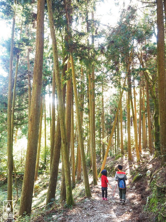 觀霧瀑布步道