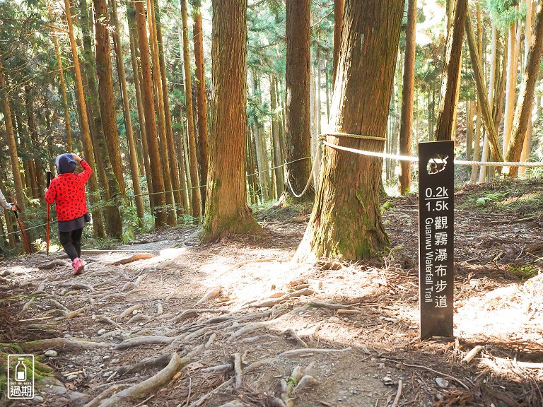 觀霧瀑布步道