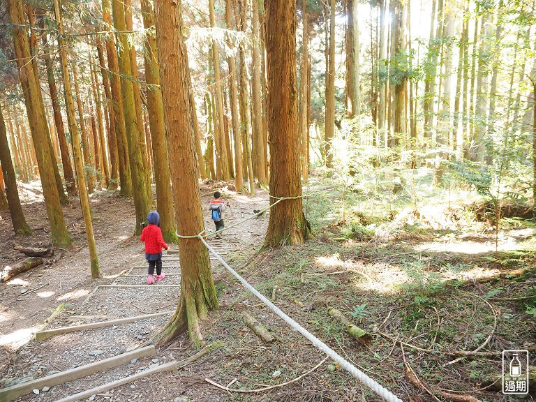 觀霧瀑布步道