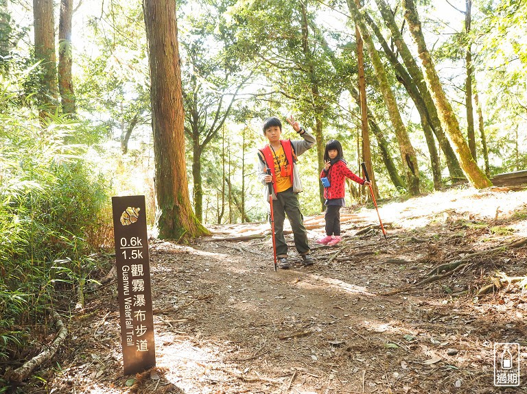 觀霧瀑布步道