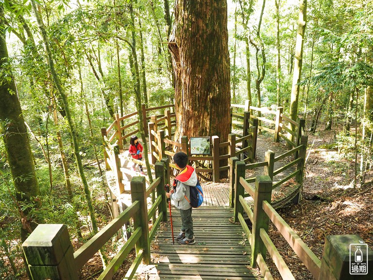 觀霧瀑布步道