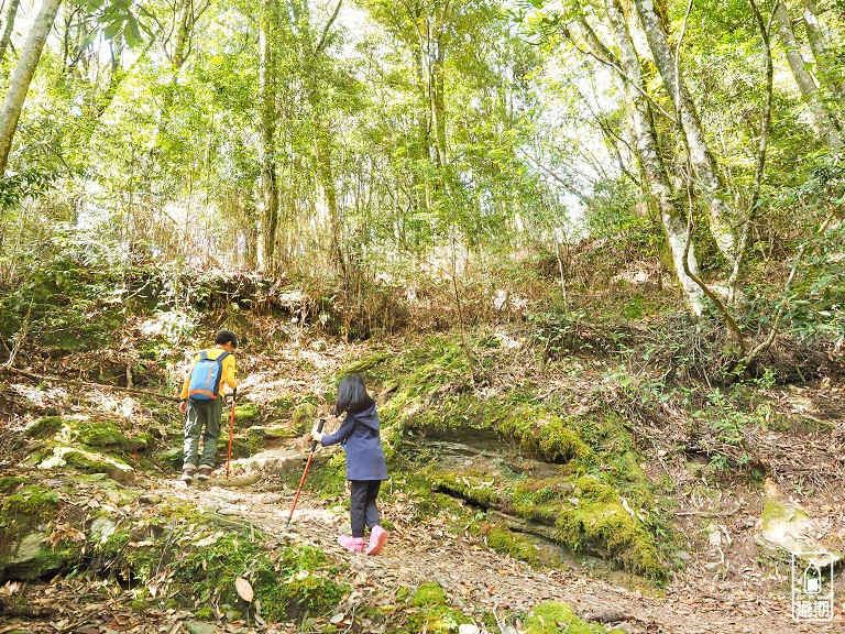 觀霧瀑布步道