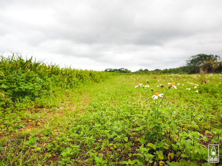 甜蜜點休閒莊園