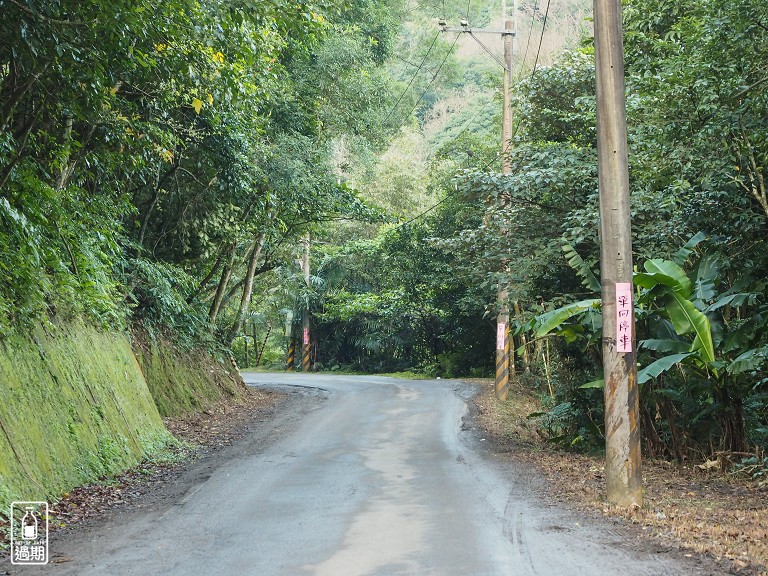 三峽大熊櫻花林