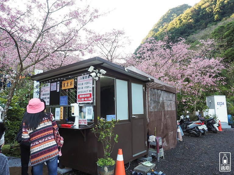 三峽大熊櫻花林