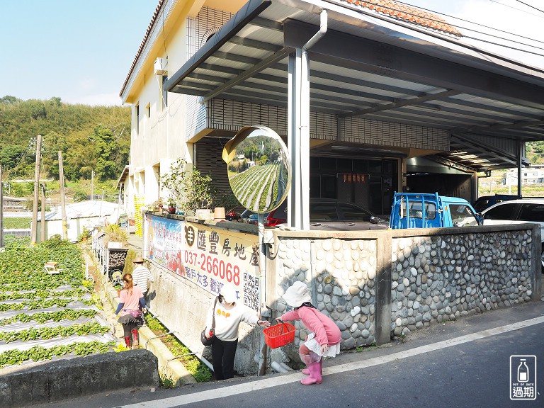 村長伯草莓園