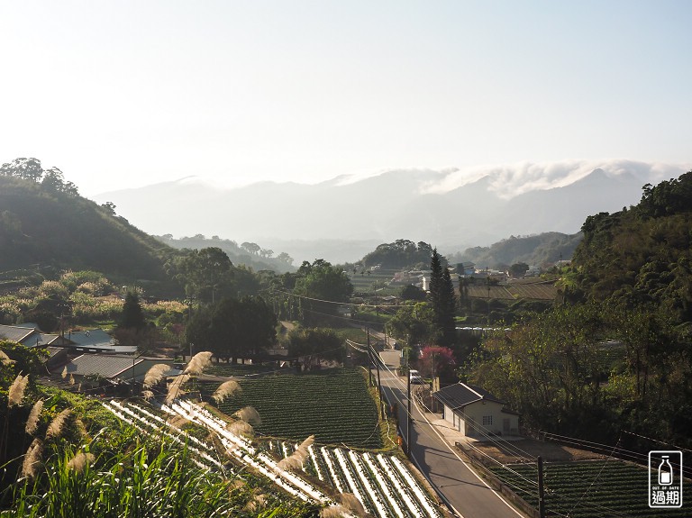 吾山居(原瑪菈棒露營區)