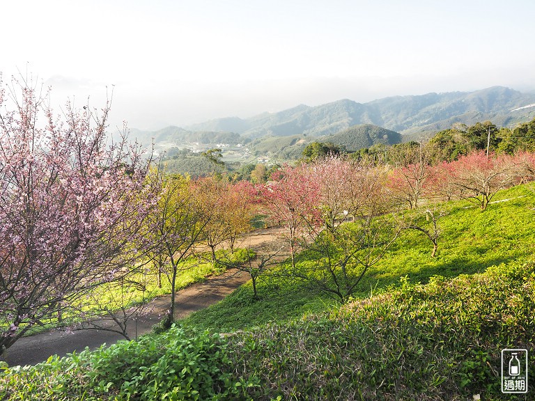 吾山居(原瑪菈棒露營區)