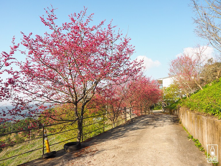 吾山居(原瑪菈棒露營區)