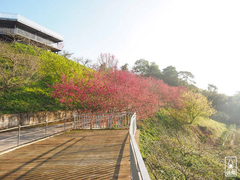 吾山居(原瑪菈棒露營區)