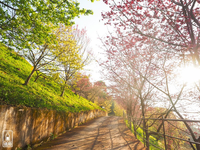 吾山居(原瑪菈棒露營區)