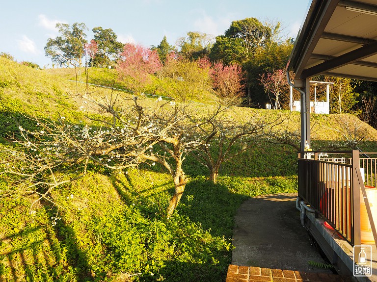 吾山居(原瑪菈棒露營區)