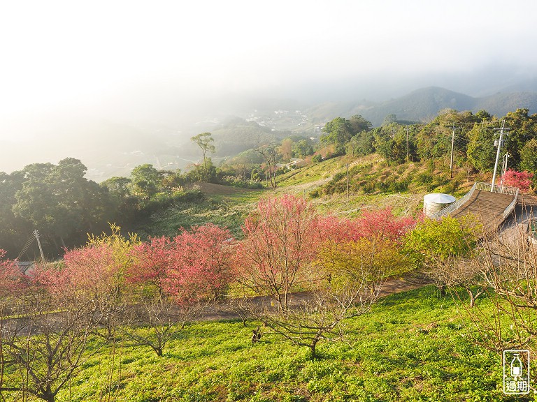 吾山居(原瑪菈棒露營區)