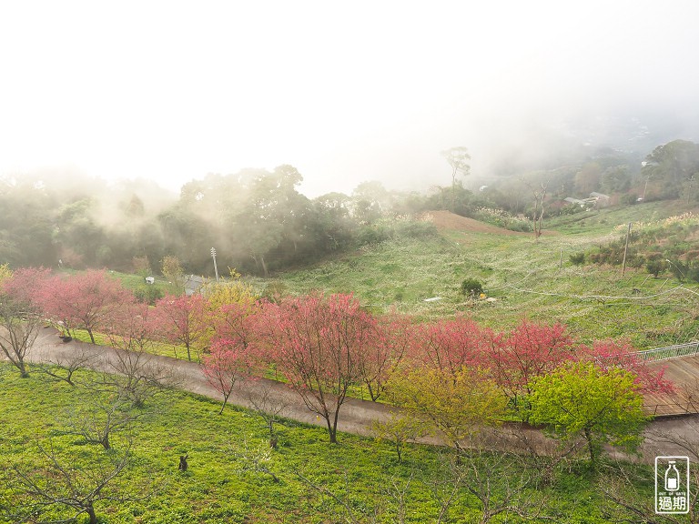 吾山居(原瑪菈棒露營區)