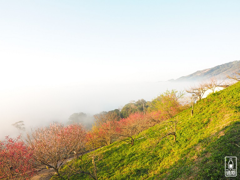 吾山居(原瑪菈棒露營區)