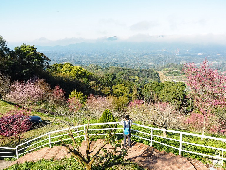 吾山居(原瑪菈棒露營區)