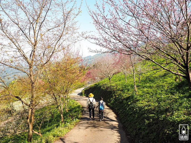 吾山居(原瑪菈棒露營區)