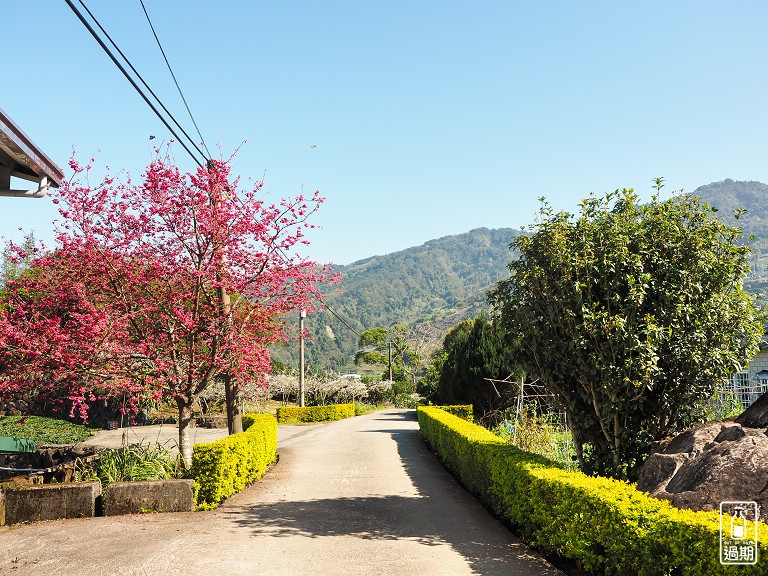 吾山居(原瑪菈棒露營區)