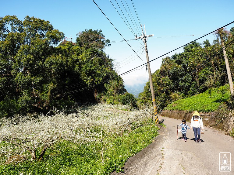 吾山居(原瑪菈棒露營區)